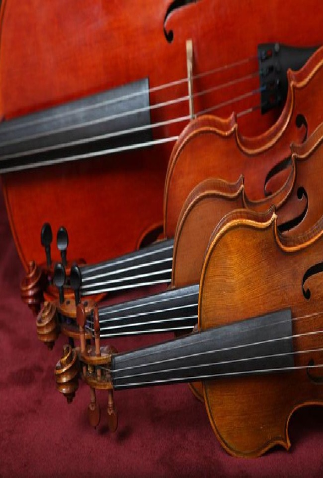 Orkestra e dhomës